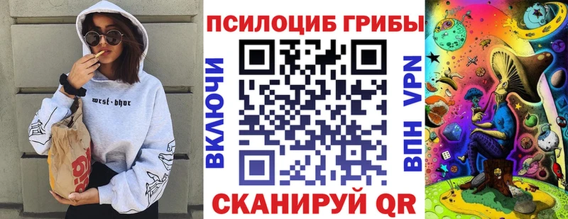 магазин  наркотиков  Пермь  кракен зеркало  Галлюциногенные грибы Cubensis 